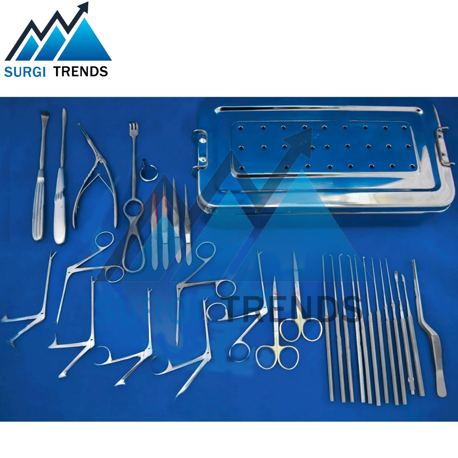 Tympanoplasty Instrument Set – 30 Pcs ENT Micro Ear Surgery A+ German Quality
