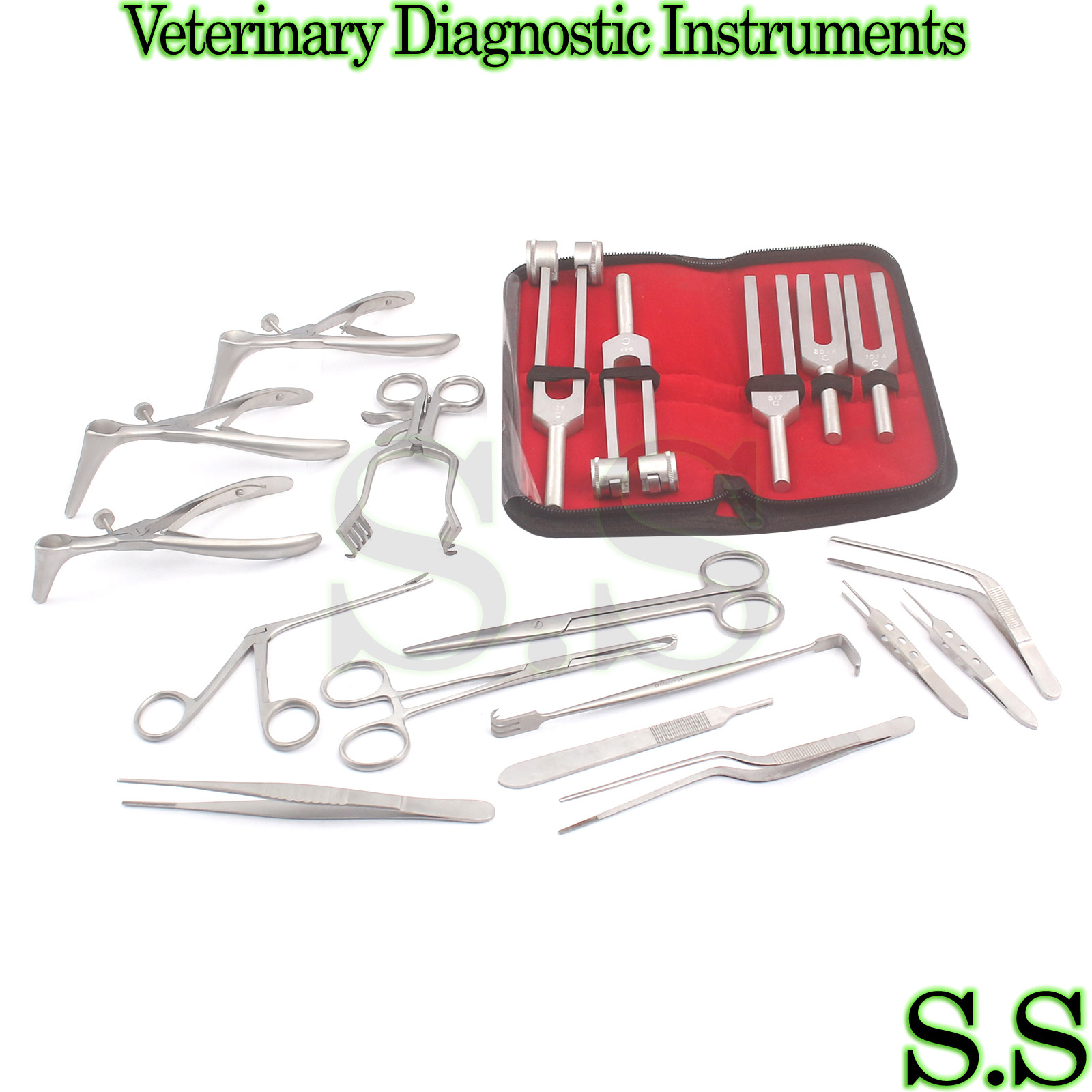 30 Pcs Set Of Ent Surgical Veterinary Diagnostic Surgery Instruments DS-921