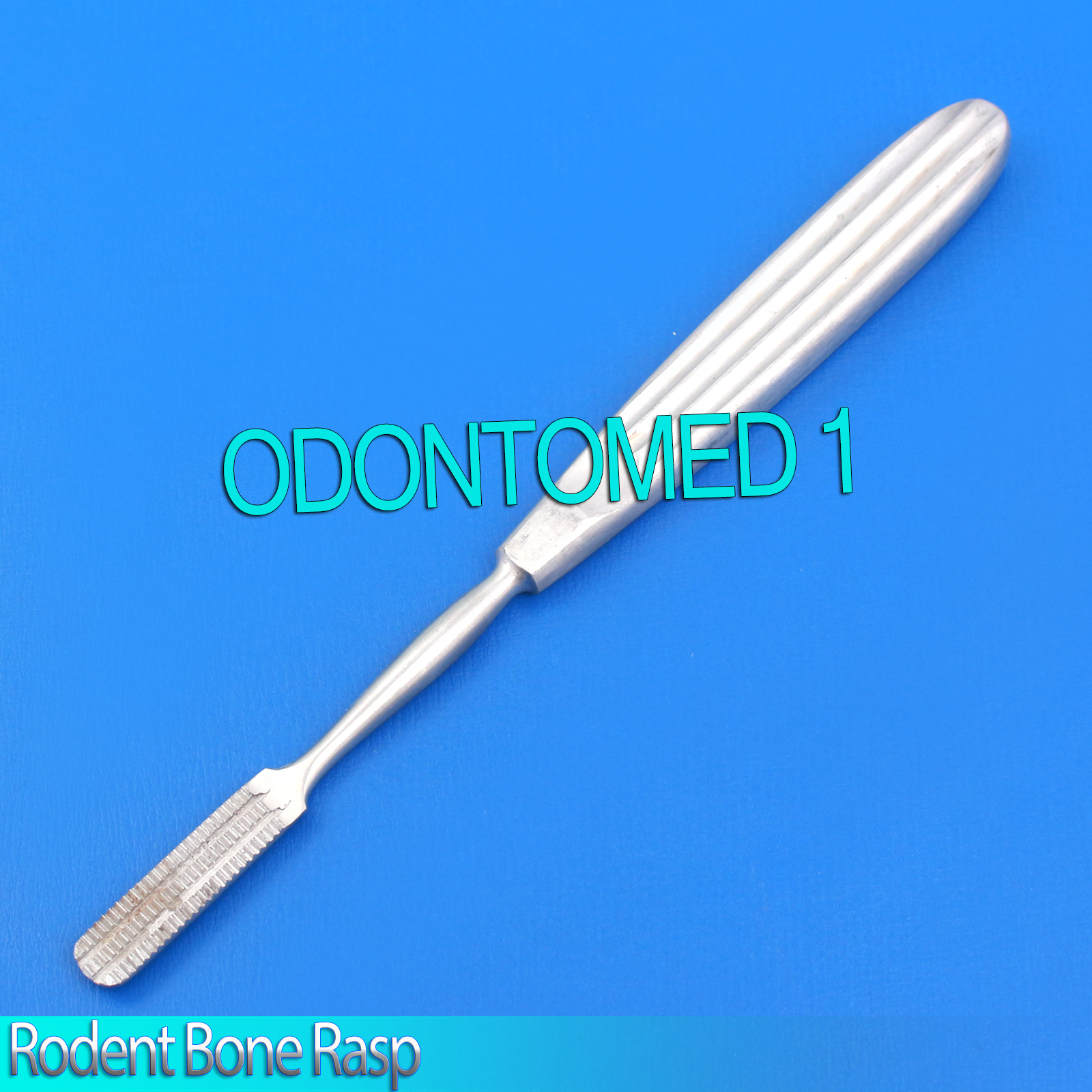 Small Animal Rodent Bone Rasp Veterinary Instruments