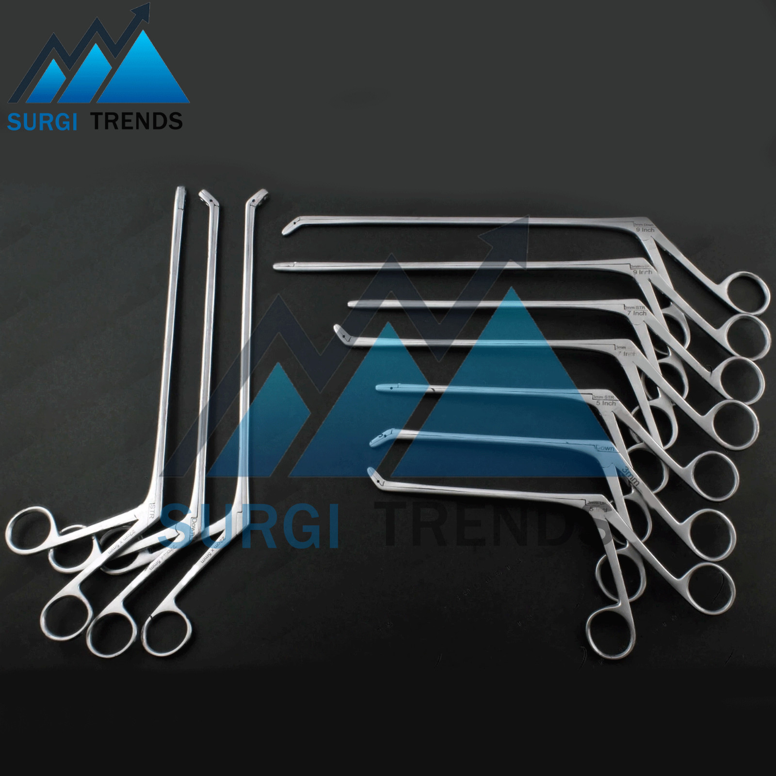 10 pcs Laminectomy Intervertebral Disc Rongeur Set Down, Straight, Up 3 & 5 mm