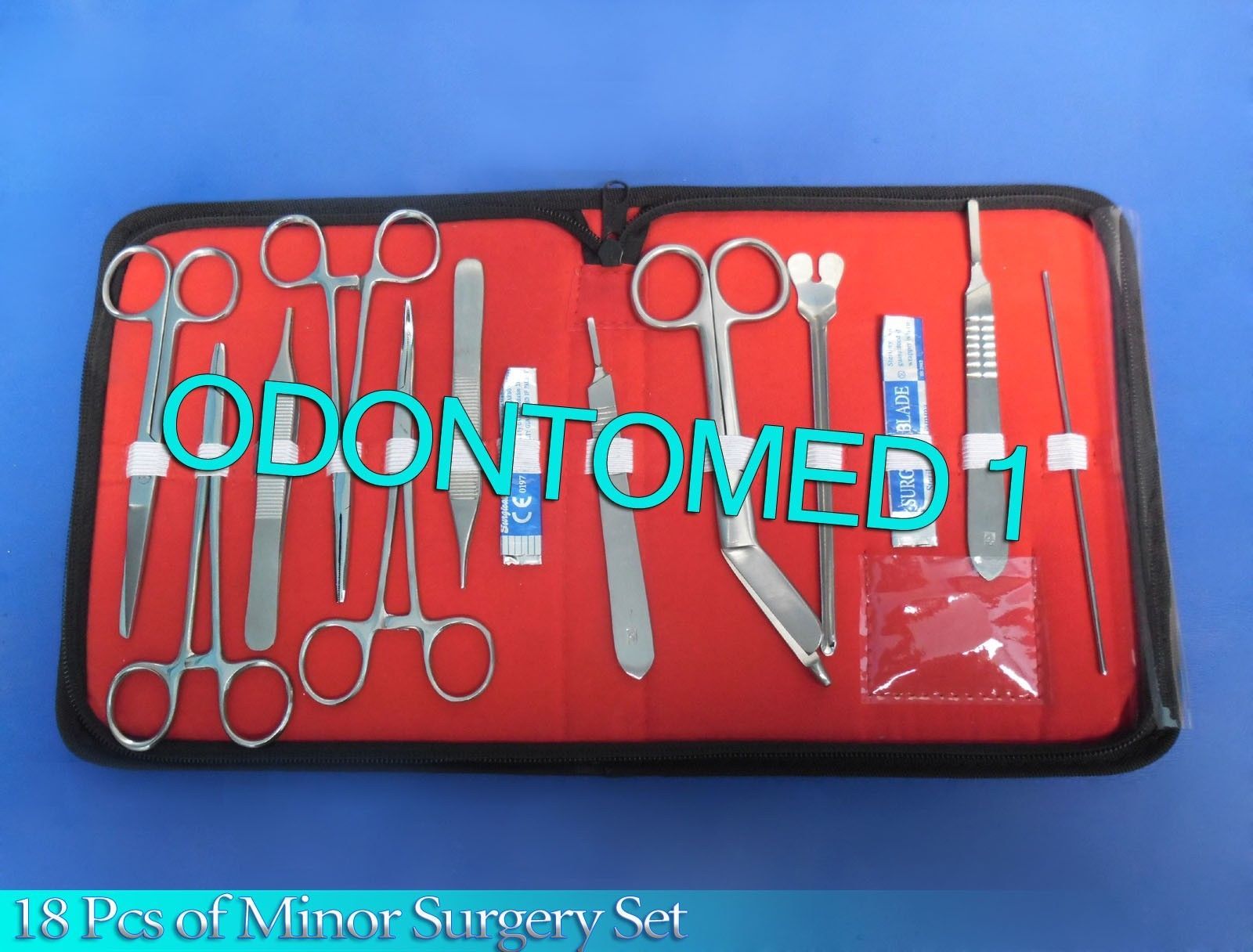 18 pcs Minor Surgery Set Surgical Instruments Kit Stainless Steel Ds-1179